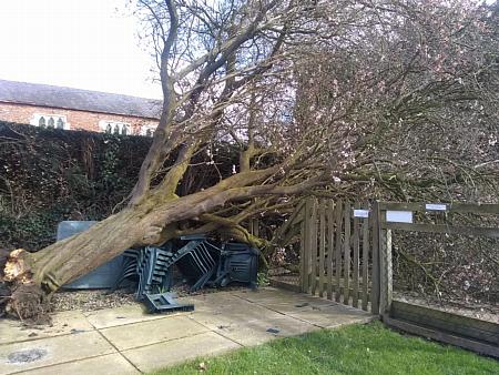 coverpic655.jpg - 47Kb