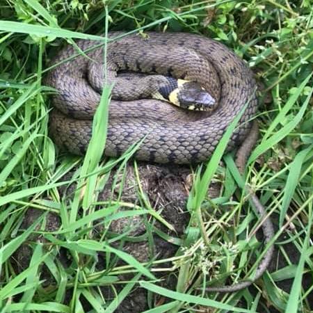 coverpic664.jpg - 57Kb