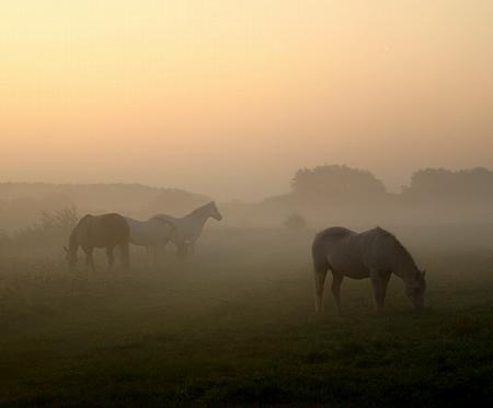 coverpic672.jpg - 9Kb