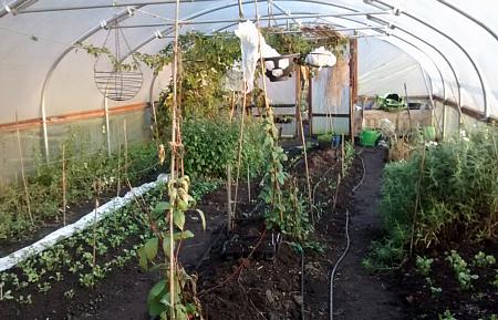 coverpic676.jpg - 37Kb