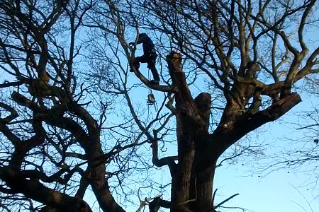 coverpic678.jpg - 51Kb