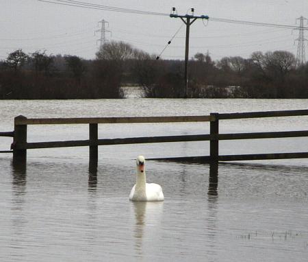 coverpic681.jpg - 26Kb