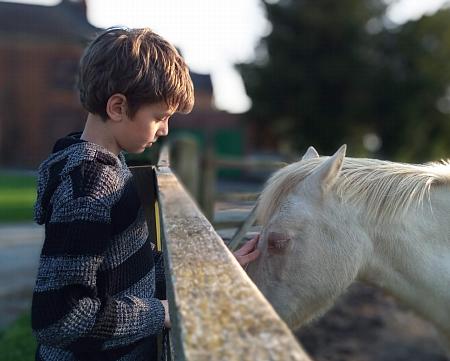 coverpic687.jpg - 24Kb