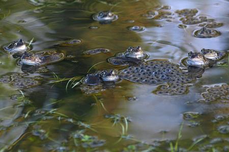 coverpic709.JPG - 24Kb