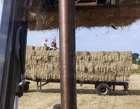 coverpic721.jpg - 36Kb