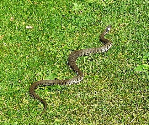 coverpic722.jpg - 92Kb