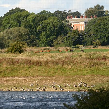 coverpic724.jpg - 55Kb