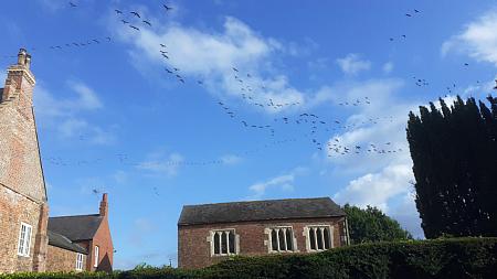 coverpic725.jpg - 18Kb