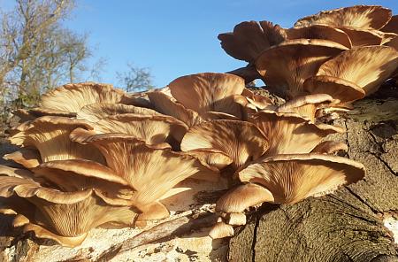 coverpic728.jpg - 38Kb