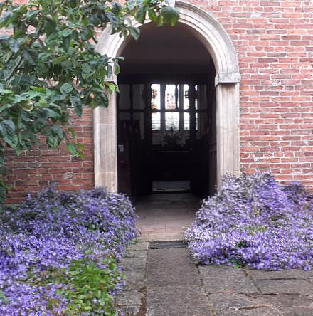 coverpic736.jpg - 52Kb