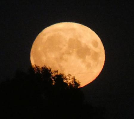 coverpic741.jpg - 11Kb