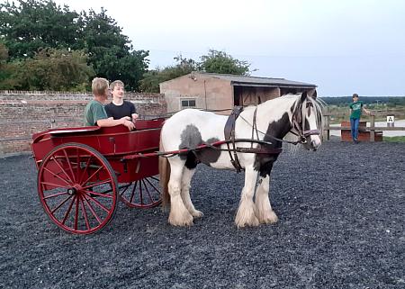 coverpic742.jpg - 39Kb