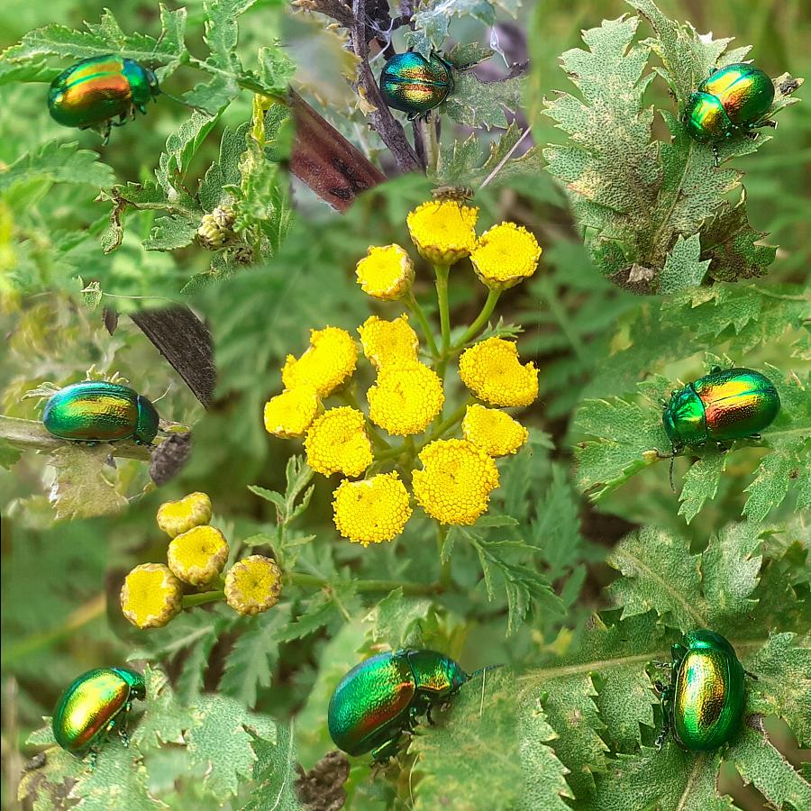 coverpic743.jpg - 194Kb