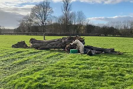 coverpic752.jpg - 38Kb