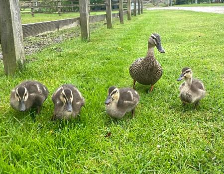 coverpic757.jpg - 55Kb