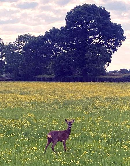 coverpic758.jpg - 68Kb