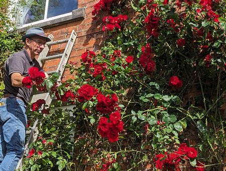 coverpic761.jpg - 60Kb