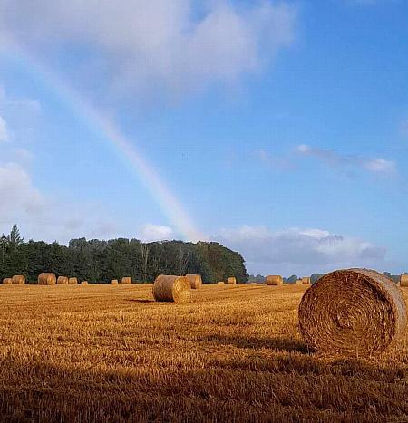 coverpic762.jpg - 36Kb