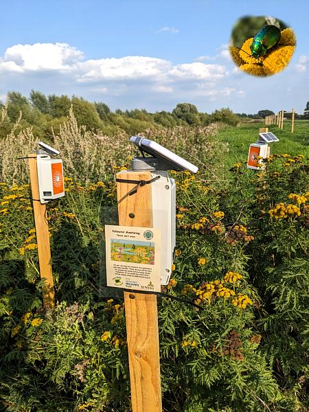 coverpic765.jpg - 85Kb