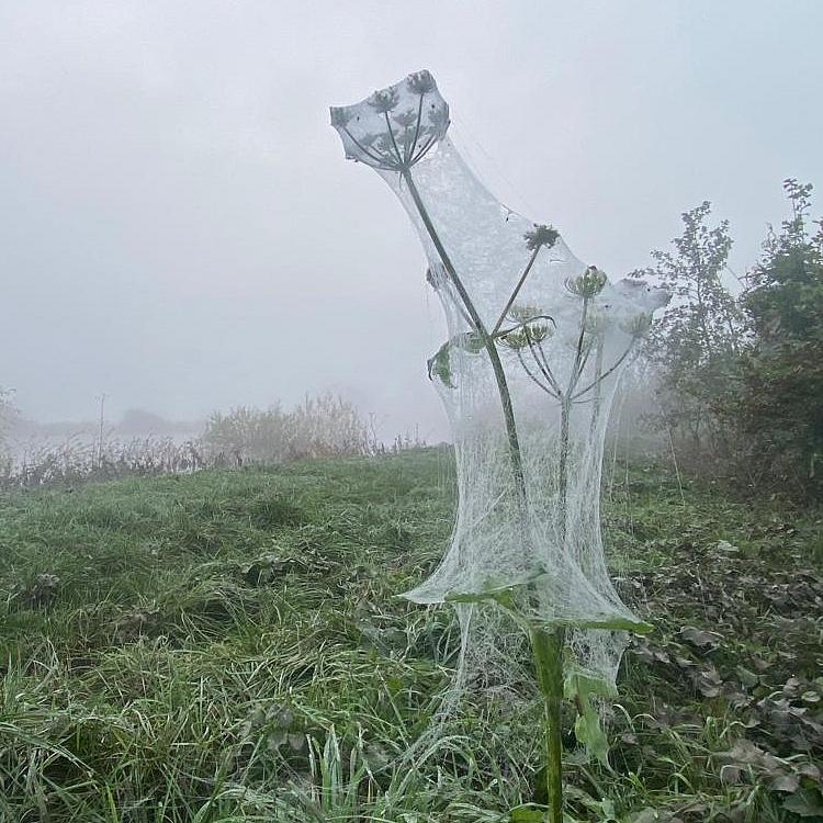 coverpic770.jpg - 59Kb