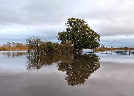 coverpic771.jpg - 22Kb