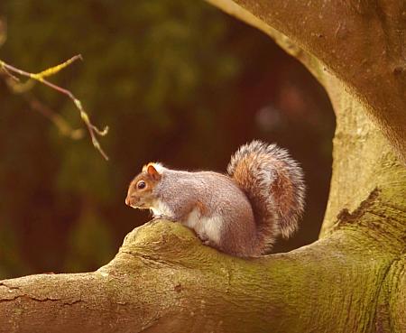 coverpic773.jpg - 27Kb