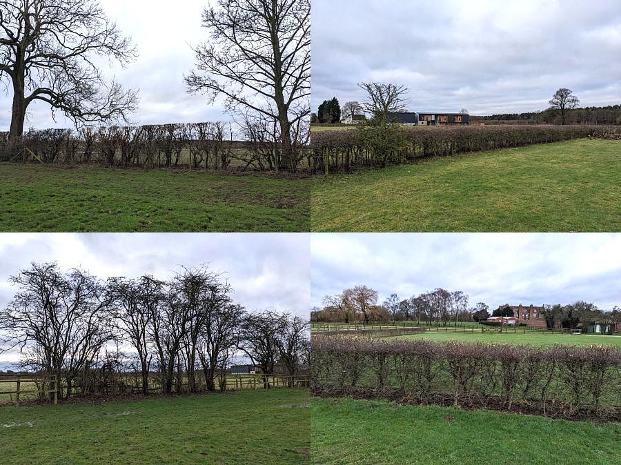 coverpic775.jpg - 160Kb