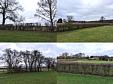 thumb775.jpg - 3586 bytes