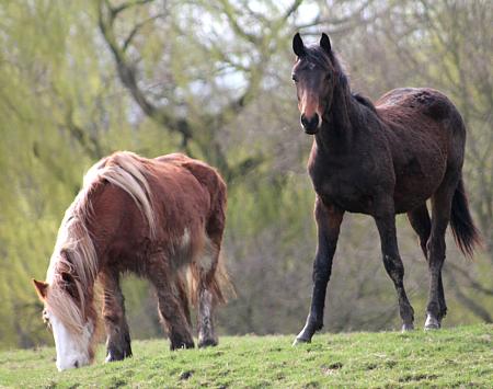 coverpic778.jpg - 30Kb