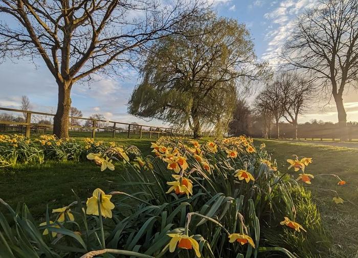 coverpic779.jpg - 102Kb