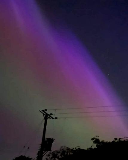 coverpic784.jpg - 11Kb