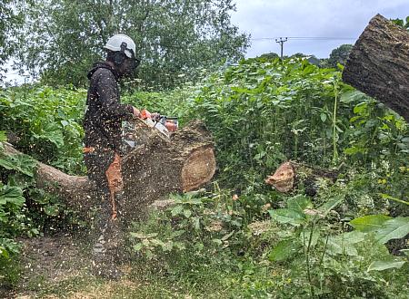 coverpic786.jpg - 59Kb