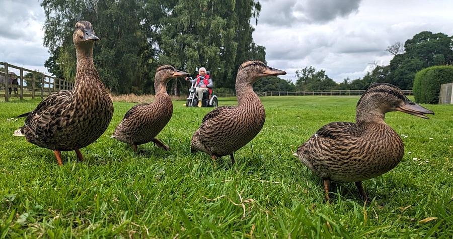 coverpic789.jpg - 124Kb