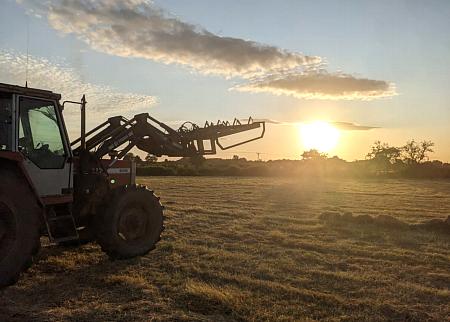 coverpic790.jpg - 25Kb