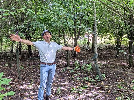 coverpic791.jpg - 67Kb