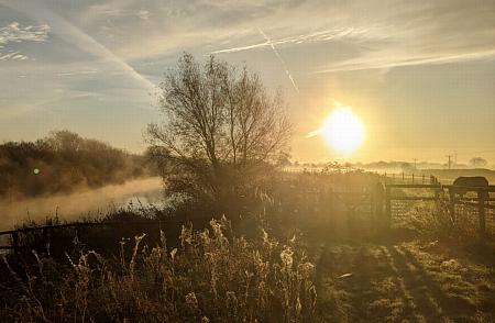 coverpic799.jpg - 87Kb