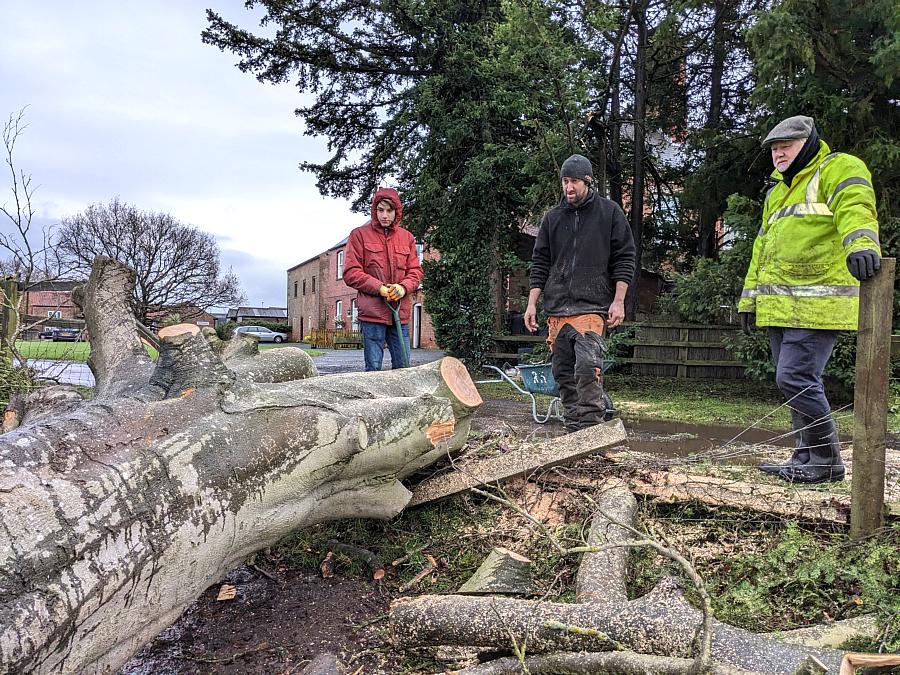 coverpic801.jpg - 213Kb