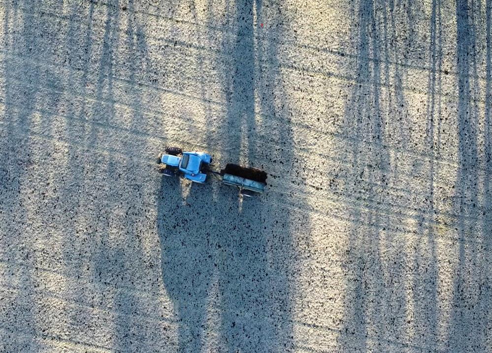 coverpic805.jpg - 239Kb