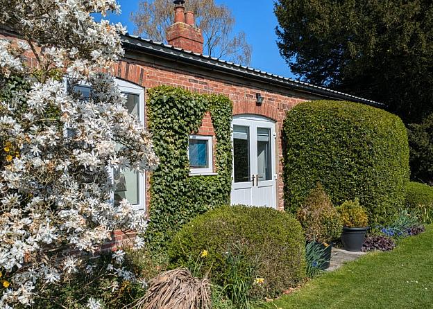 coverpic809.jpg - 107Kb