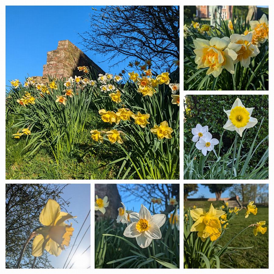 coverpic810.jpg - 230Kb