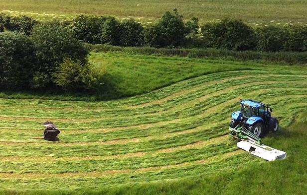 coverpic814.jpg - 67Kb