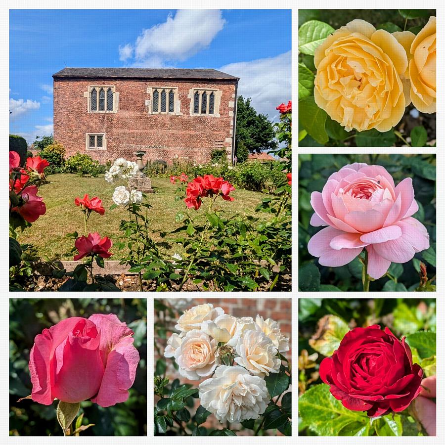 coverpic815.jpg - 191Kb