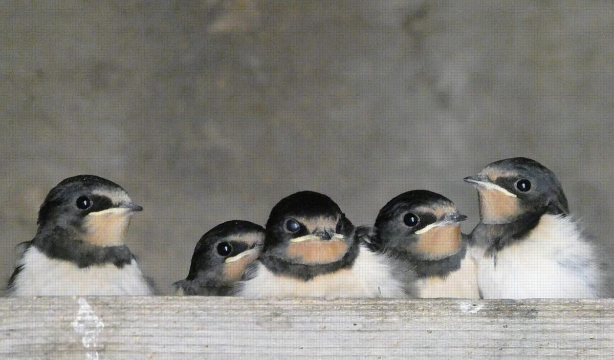 coverpic816.jpg - 111Kb