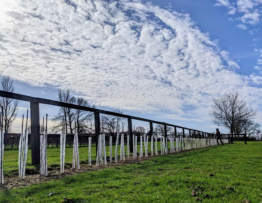 coverpic831.jpg - 154Kb