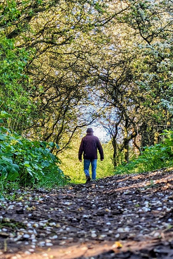 coverpic832.jpg - 217Kb