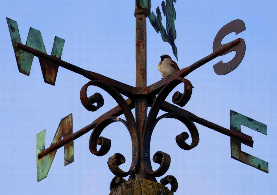 coverpic833.jpg - 61Kb